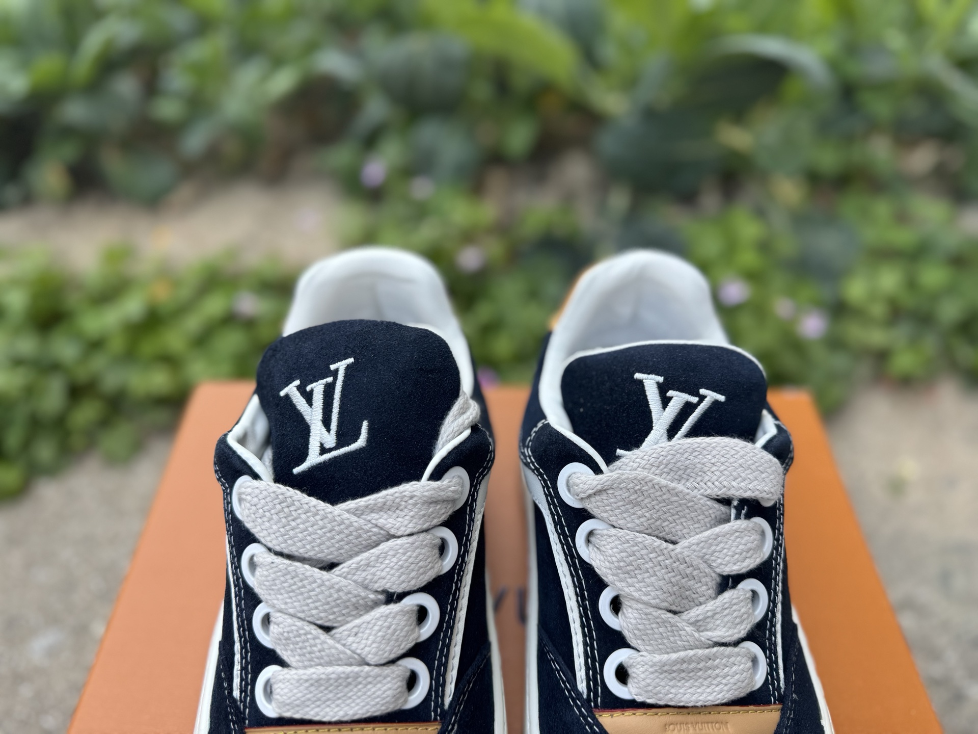 Nike Jordan shoe